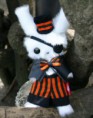 Aristocrat Bunny
